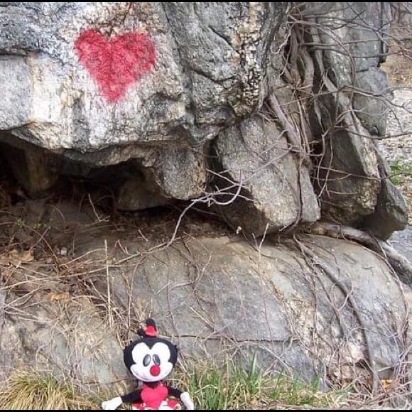 Meet your Posher, Dot! THIS LISTING NOT FOR SALE! - Picture 8 of 12